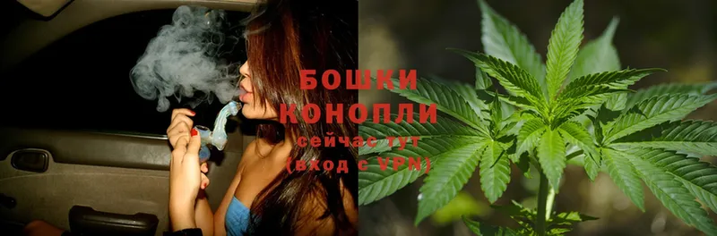 купить наркотик  Чехов  Канабис White Widow 